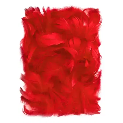 PIÓRKA CZERWONE DEKORACYJNE W TOREBCE