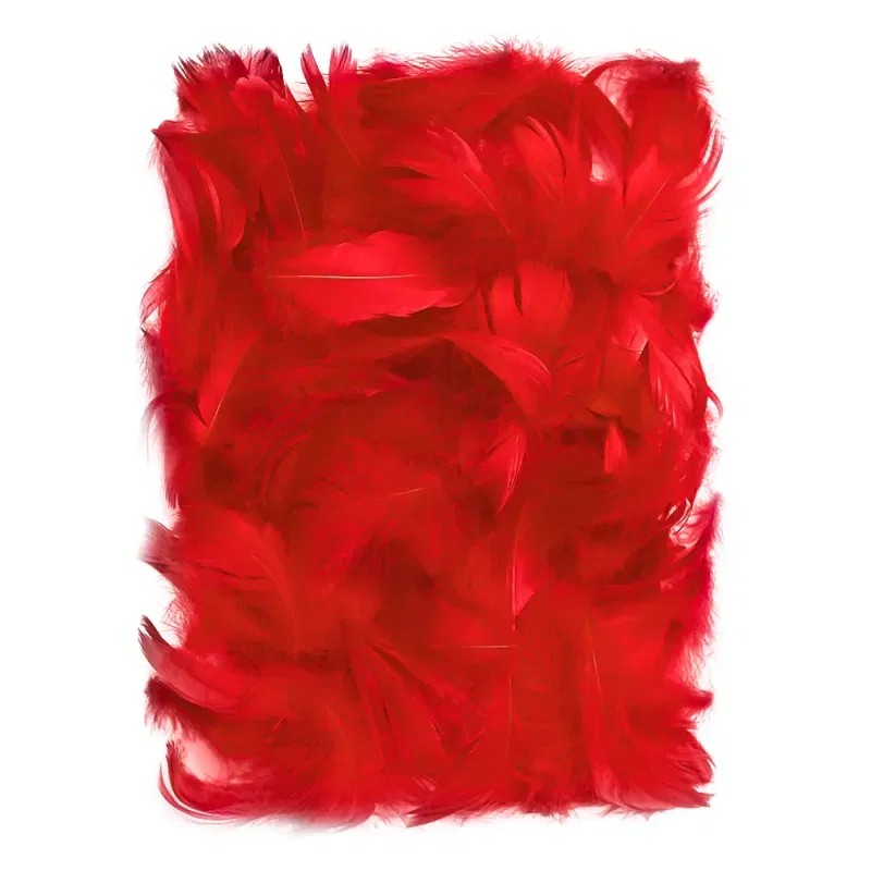 PIÓRKA CZERWONE DEKORACYJNE W TOREBCE