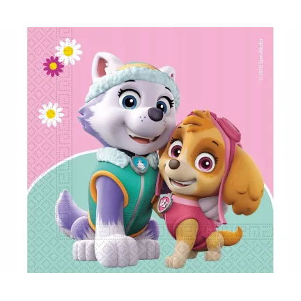 Serwetki papierowe Paw Patrol Sky&Everest, 33x33cm, 20szt.