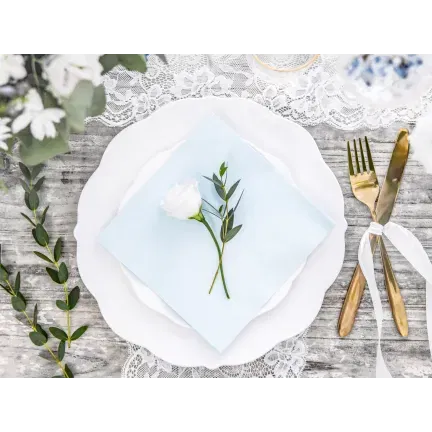 Serwetki trójwarstwowe, jasny błękit 33x33cm 20szt Serwetki trójwarstwowe, jasny błękit 33x33cm 20szt