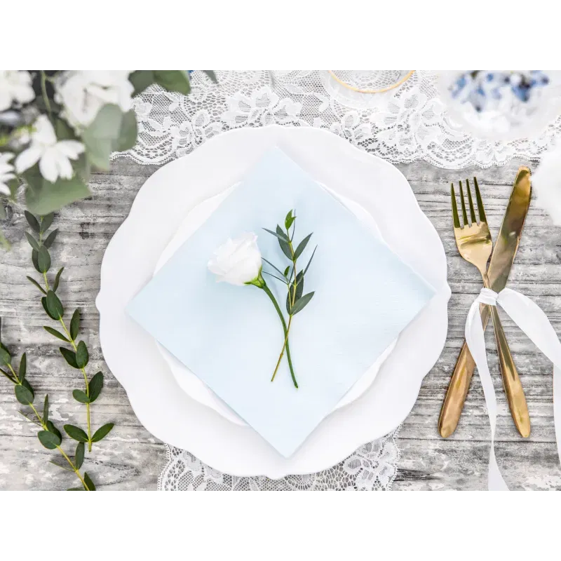 Serwetki trójwarstwowe, jasny błękit 33x33cm 20szt Serwetki trójwarstwowe, jasny błękit 33x33cm 20szt