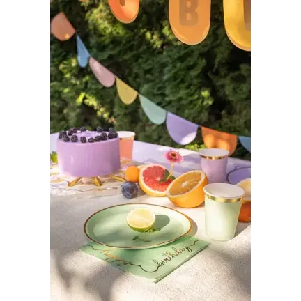 Talerzyki papierowe pastelowe kolory 21 cm 6szt Talerzyki papierowe pastelowe kolory 21 cm 6szt