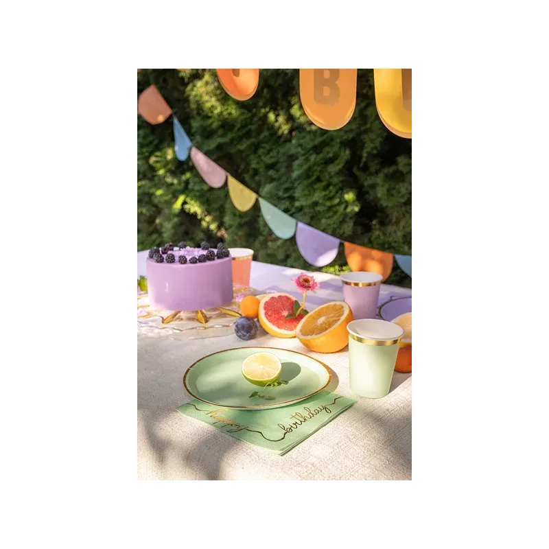 Talerzyki papierowe pastelowe kolory 21 cm 6szt Talerzyki papierowe pastelowe kolory 21 cm 6szt