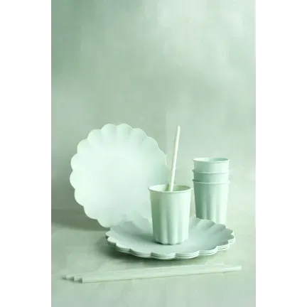 Słomki plastikowe, 23 cm, szałwiowy 12szt. Słomki plastikowe, 23 cm, szałwiowy 12szt.