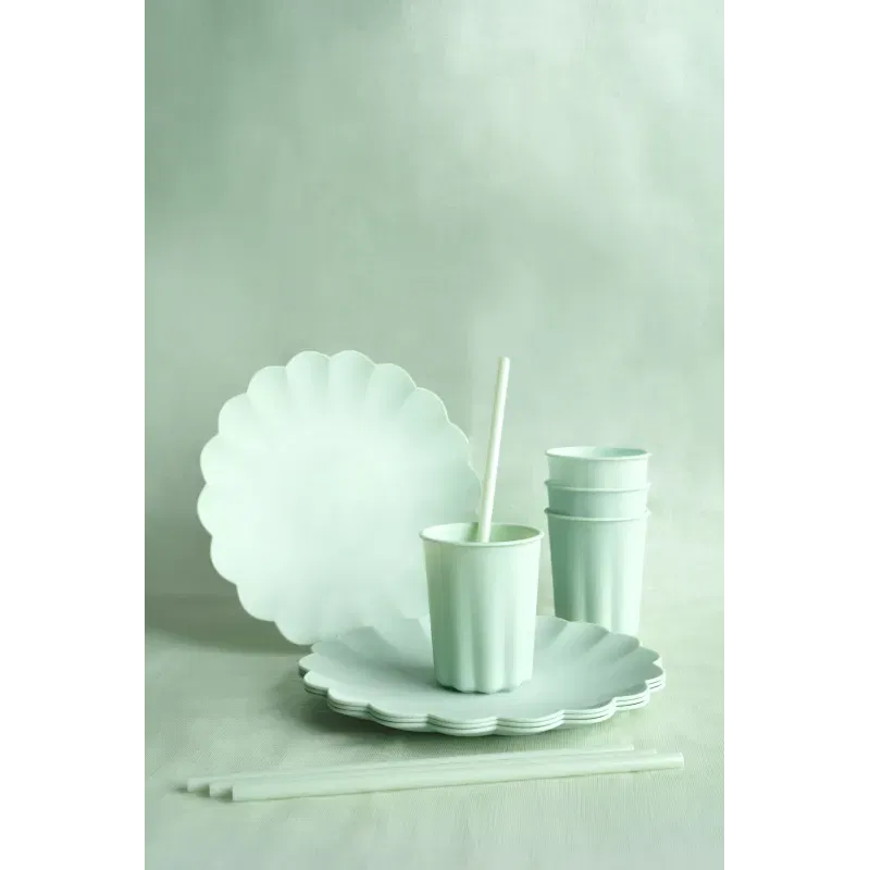 Słomki plastikowe, 23 cm, szałwiowy 12szt. Słomki plastikowe, 23 cm, szałwiowy 12szt.